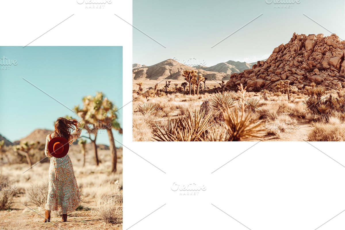 Joshua Tree Desert Wall Art, a Background Photo by Munopia (Photo 9 of 10)