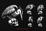 10 Bundle Dark Art Heron Bird Skull, an Illustration by Morspective (Thumbnail 3 of 7)