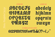 Nicla - Beautiful Script Family, a Script Font by madeDeduk (Thumbnail 4 of 15)