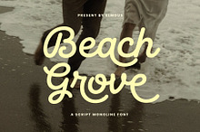 Beach Grove - Script Monoline Font