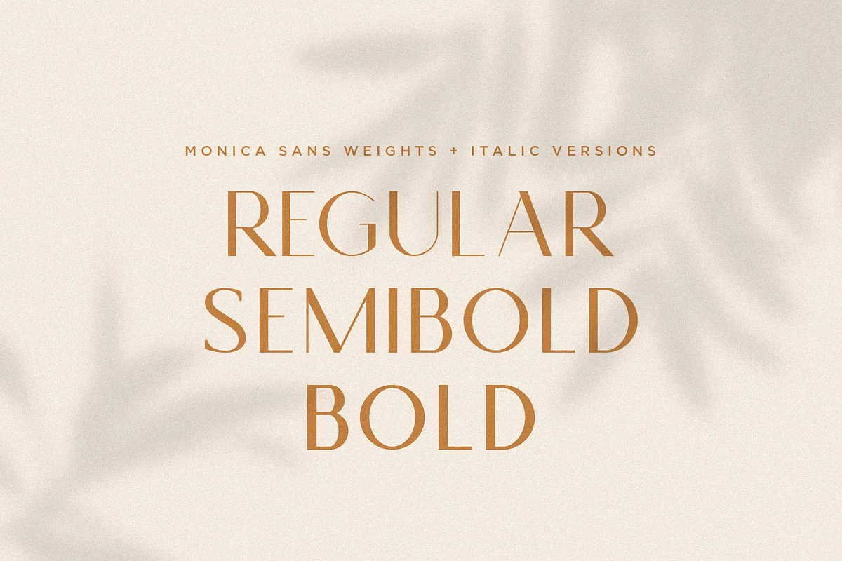 Monica - Classic & Elegant Sans, a Sans Serif Font by Mikhail Fukurou (Photo 11 of 12)