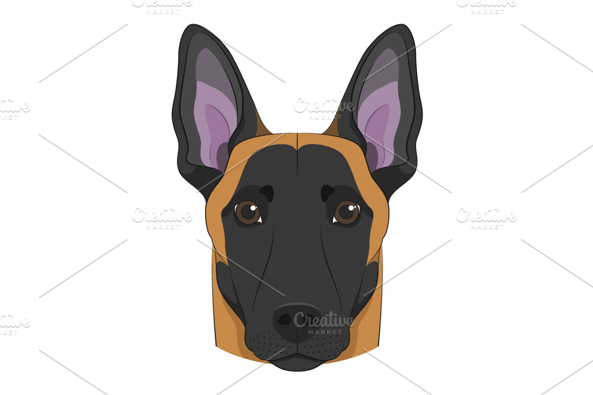30x Dog breeds Set 2, an Animal Illustration by asantosg (Photo 6 of 7)