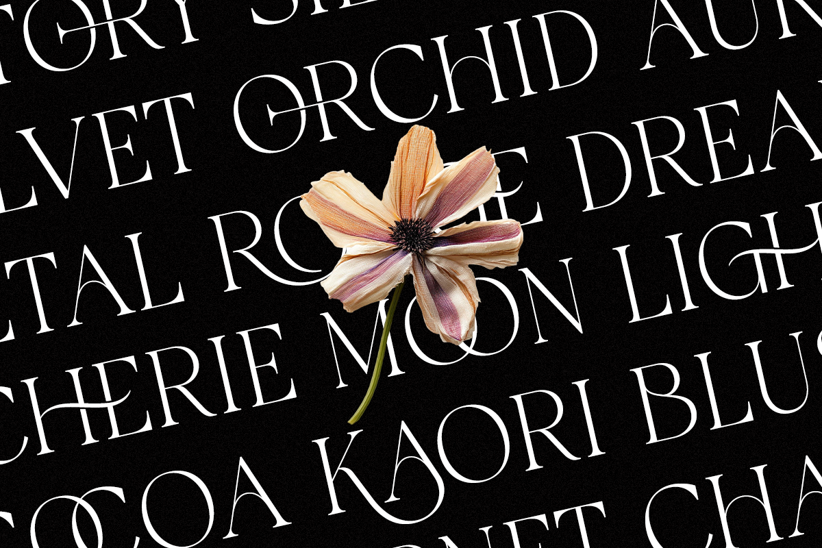 Luxury Ligature Serif Font - Galvore, a Serif Font by Say Studio (Photo 3 of 10)