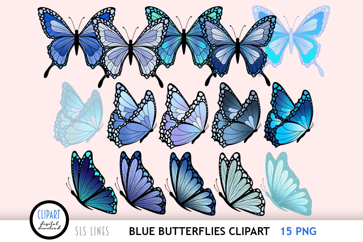 Colorful Butterfly Clipart Bundle, an Animal Illustration by SLS Lines (Photo 4 of 11)