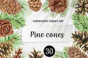 Watercolor pine cones clipart set, an Illustration by svetodesign (Thumbnail 1 of 9)