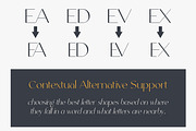 Schoonheid - Thick and Thin Font, a Font by Intuisi Creative (Thumbnail 4 of 10)