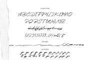 Rallys-Handwritten Script Font!, a Script Font by Scratch Design (Thumbnail 12 of 13)