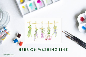 Watercolor Herb Flower Clipart