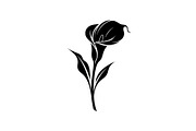 Black Lily Flower Vector Bundle, an Illustration by Designs_River (Thumbnail 11 of 51)