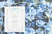 50 Bow & Grace Frames, a Decorative Illustration by PeDe Designs (Thumbnail 2 of 9)