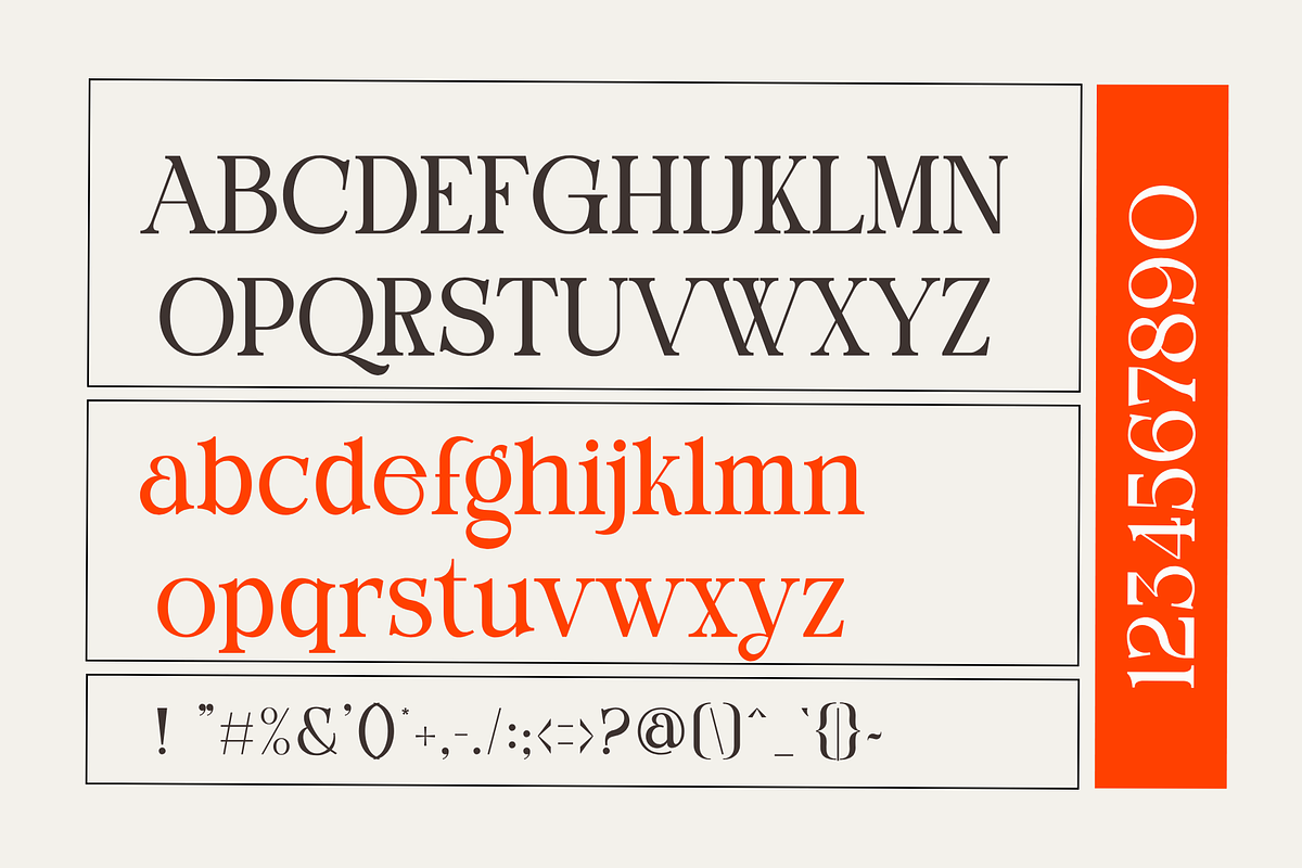 Sunday Dreams Serif Font, a Font by Compaq_Creative (Photo 4 of 10)