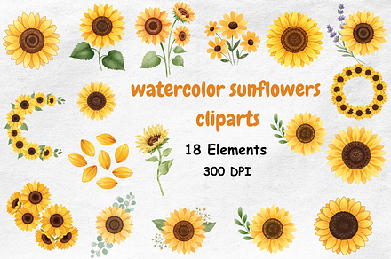 watercolor sunflowers clipart