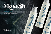 Brastika - Elegant Modern Serif Font, a Serif Font by Ekahermawan (Thumbnail 3 of 12)