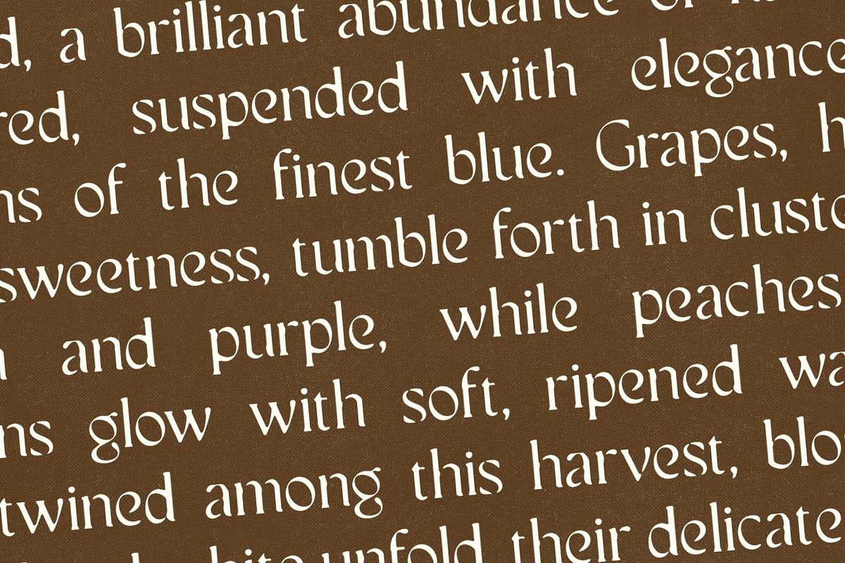 CS Sargent Drawn, a Serif Font by Craft Supply Co. (Photo 7 of 8)
