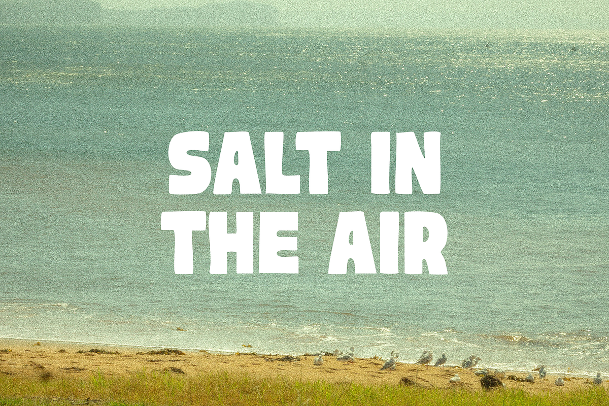 Sunbleach Bold Font, a Sans Serif Font by gafaroff studio (Photo 2 of 6)