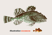 Halftone FX - PSD Press Effects, a Layer Style Add-On by Presetrain Co. (Thumbnail 4 of 8)