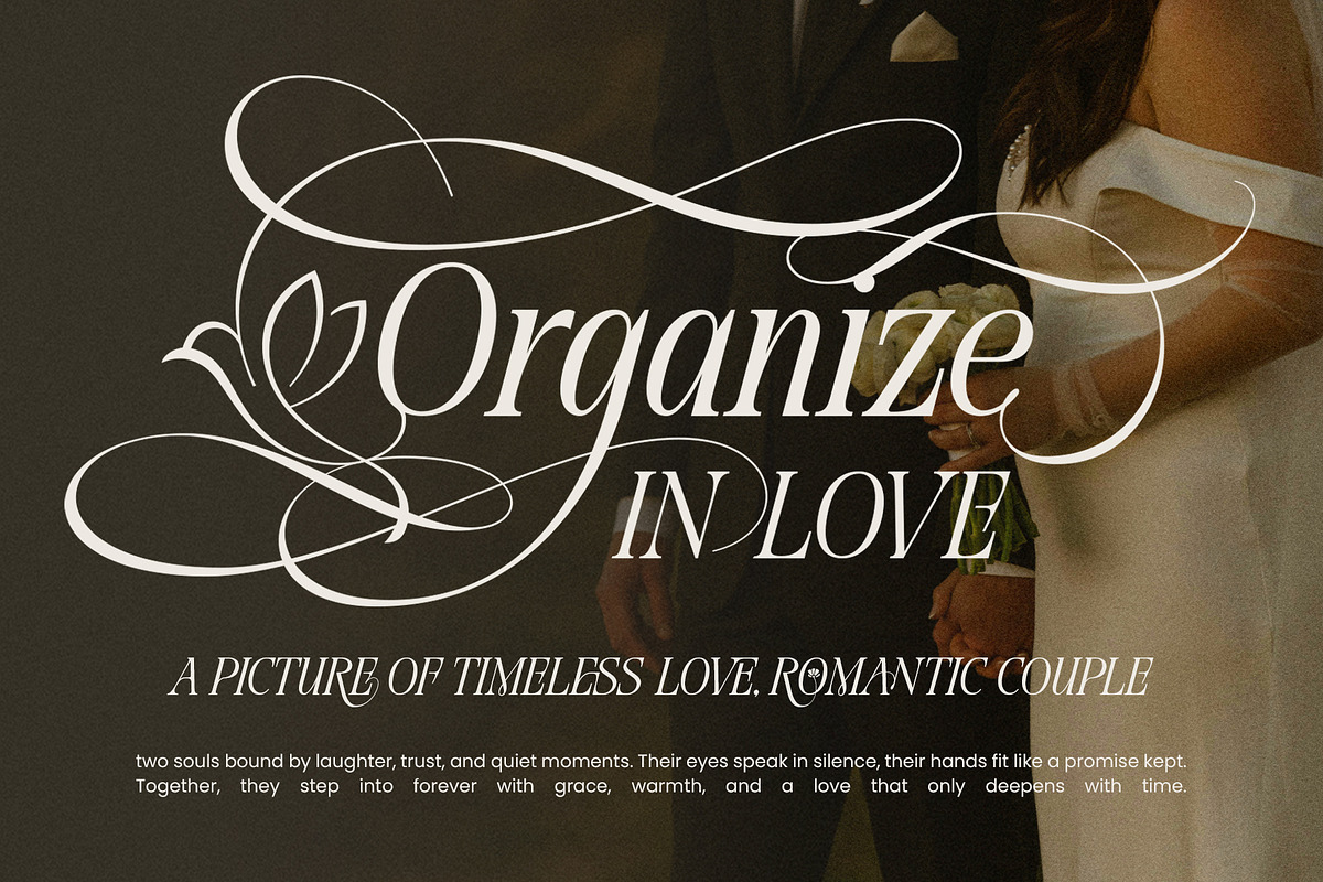 Dove and Goose Typeface, a Serif Font by alit design (Photo 4 of 20)