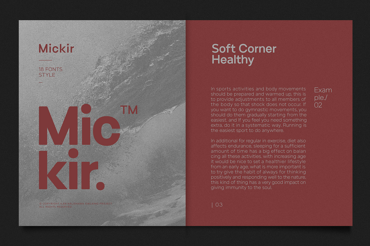 Mickir, a Sans Serif Font by OWL KING (Photo 1 of 8)