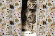 Cat Lady Graphic Set, an Animal Illustration by svetlana.belaia (Thumbnail 5 of 7)