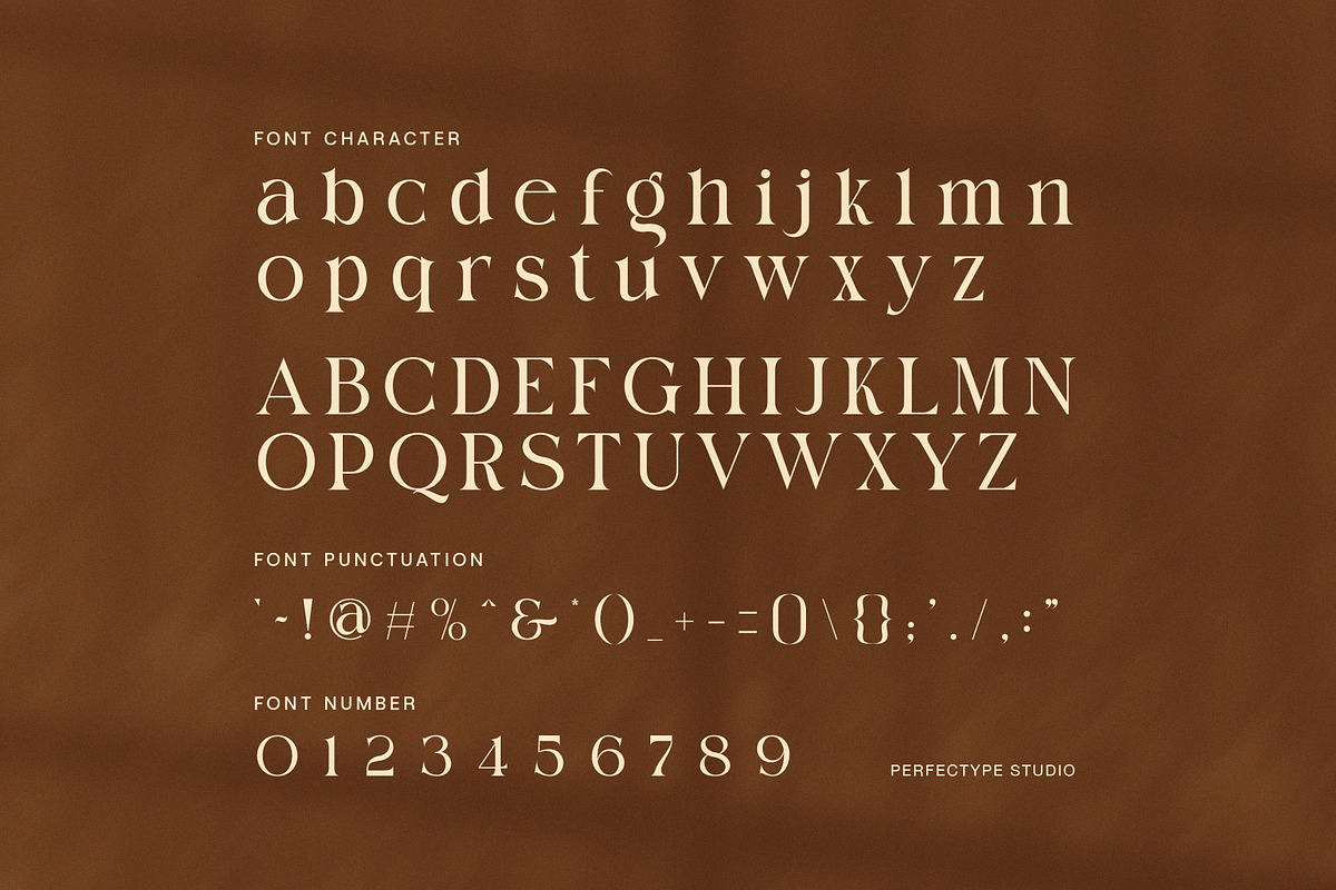 Comig Elegant Serif Font, a Serif Font by Perfectype (Photo 7 of 8)