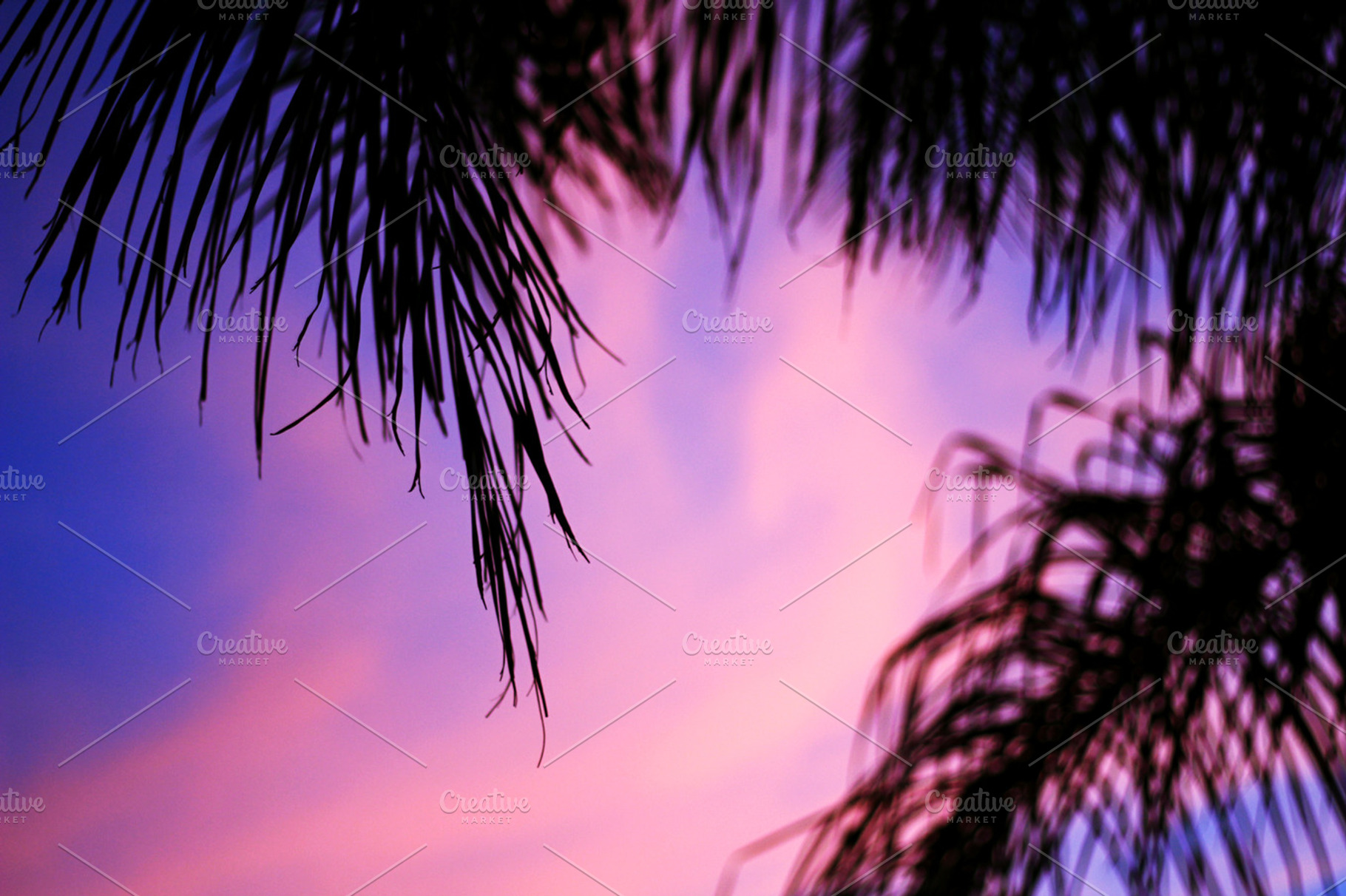 Cotton Candy Skies, a Nature Photo by Erica Patstone
