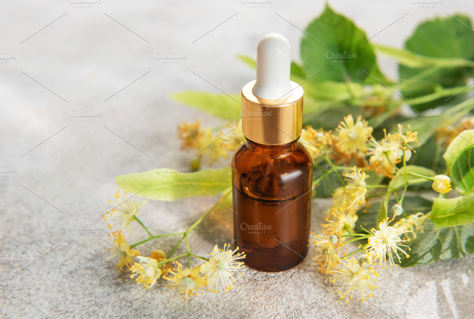 Linden essential oil in dropper bottle with fresh flowers, a Health & Medical Photo by Olena Rudo