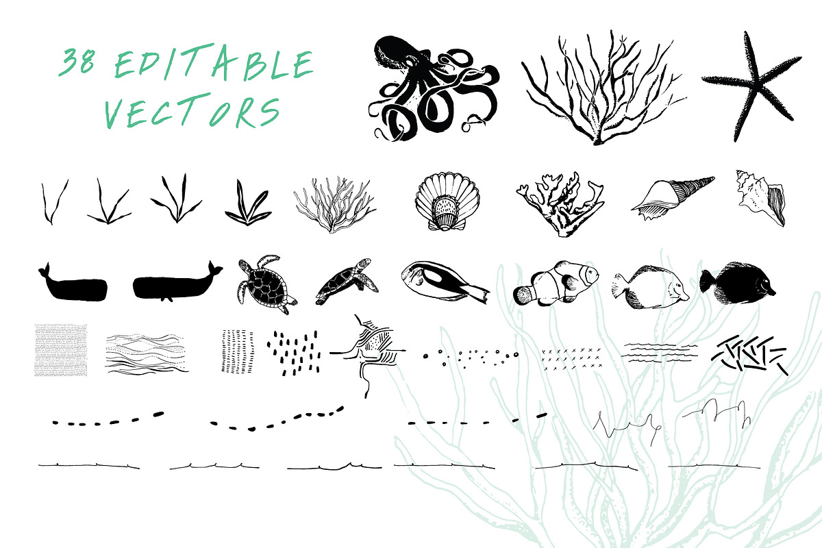 Sea life | Seamless Patterns, a Pattern Graphic by The Collective Studio (Photo 6 of 8)
