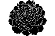 Peony Flower Silhouette, an Object Graphic by Designer_Momina (Thumbnail 10 of 18)