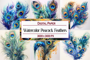 Watercolor Peacock Feathers