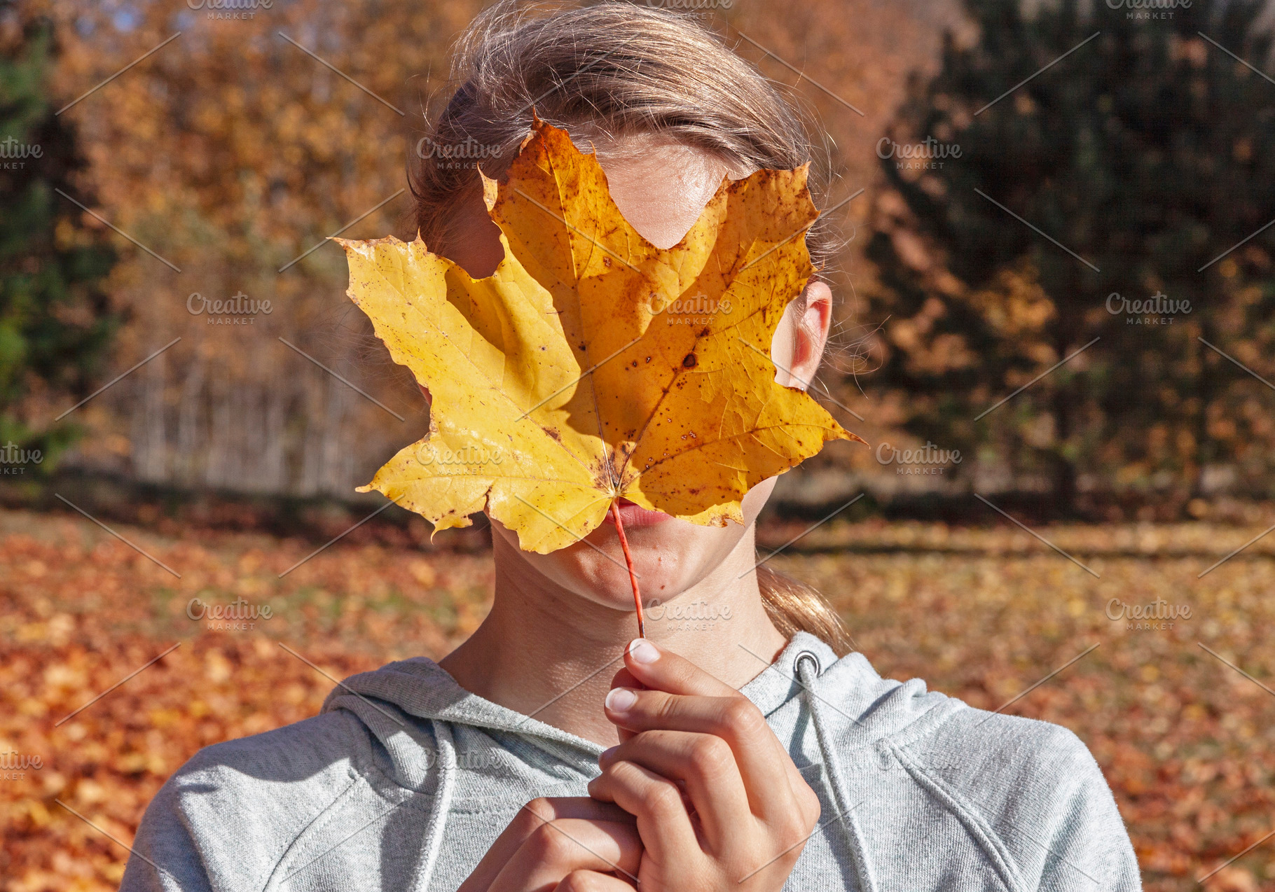 Girl covering face with maple leaf, a Person Photo by BOOCYS