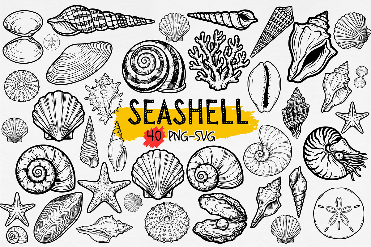 Seashell Clipart SVG PNG, an Object Graphic by iloveTemplate (Photo 1 of 5)