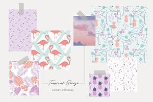 Tropical Breeze Collection Vector