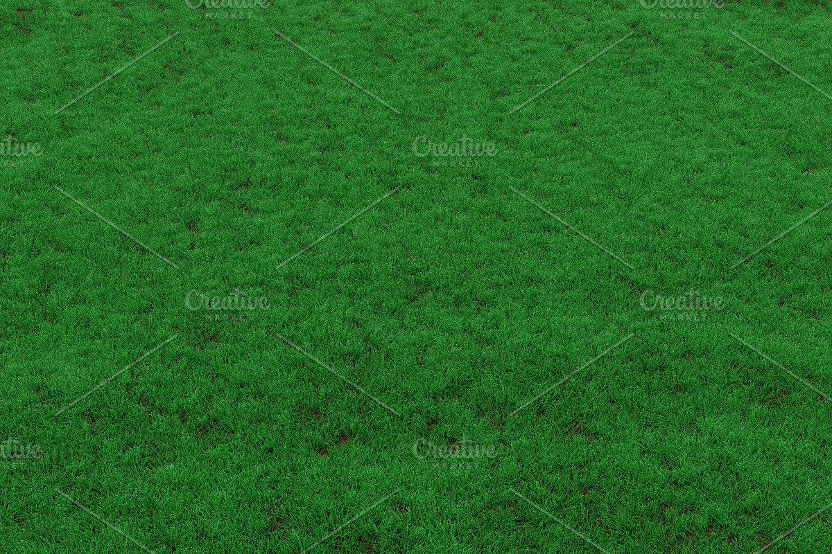 3D illustration of green grass background, a Decorative Illustration by PixieMe