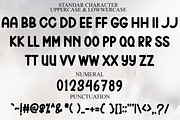 Beach Lovely, a Handwritten Font by FreshTypeINK (Thumbnail 3 of 6)
