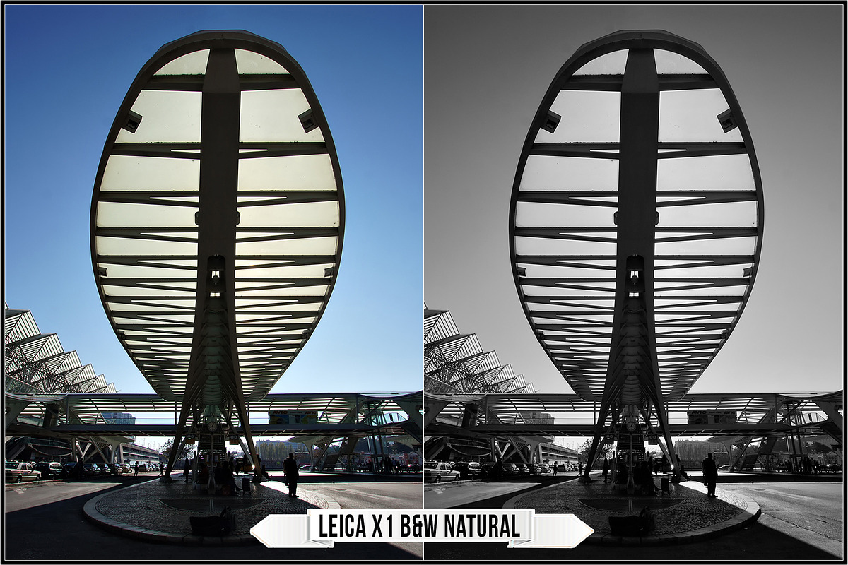 Leica Film Styles, a Plug-in Add-On by Raztrend (Photo 15 of 30)