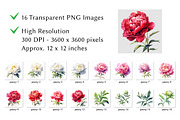 Peony Flower Watercolor Clipart, a Decorative Illustration by milkghost (Thumbnail 2 of 2)