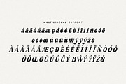 Sunday Eighties Font, a Serif Font by HansCo Studio (Thumbnail 16 of 17)