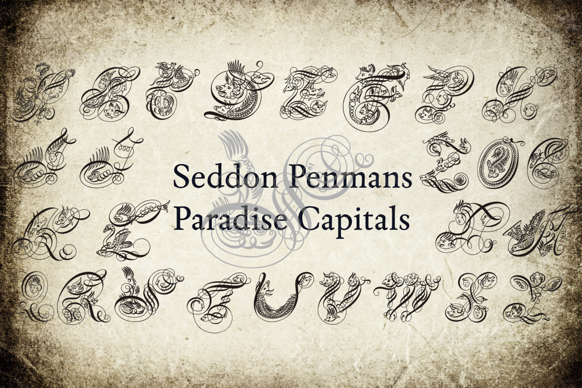 Seddon Penmans Paradise Capitals