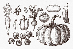 Vegetables. Hand Drawn Collection.