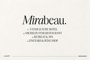 The Very Vogue Serif Family, a Serif Font by Nicky Laatz (Thumbnail 15 of 37)