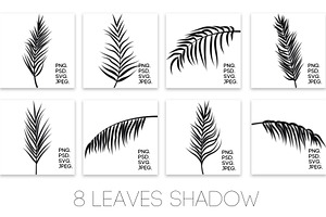 Tropical Shadow Overlays