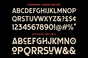 Hoektand Typeface, a Serif Font by Frantic Disorder (Thumbnail 3 of 6)