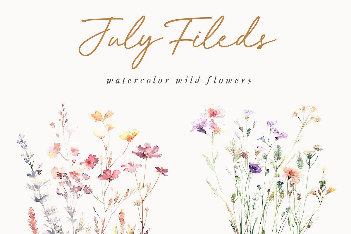 New! Wild Flowers Edition, a Seasonal Illustration by Isabelle Salem (Photo 93 of 155)