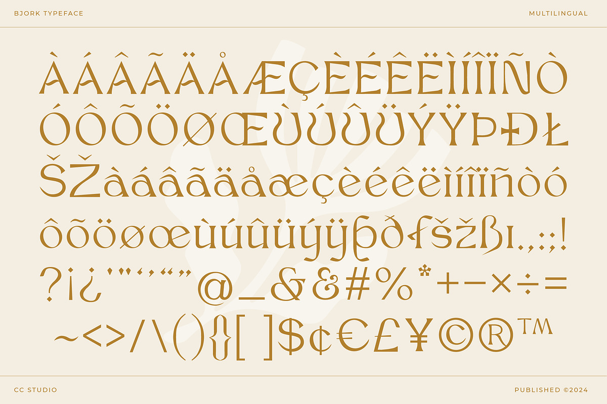 Bjork Serif, a Serif Font by CCS-Type.com (Photo 29 of 30)