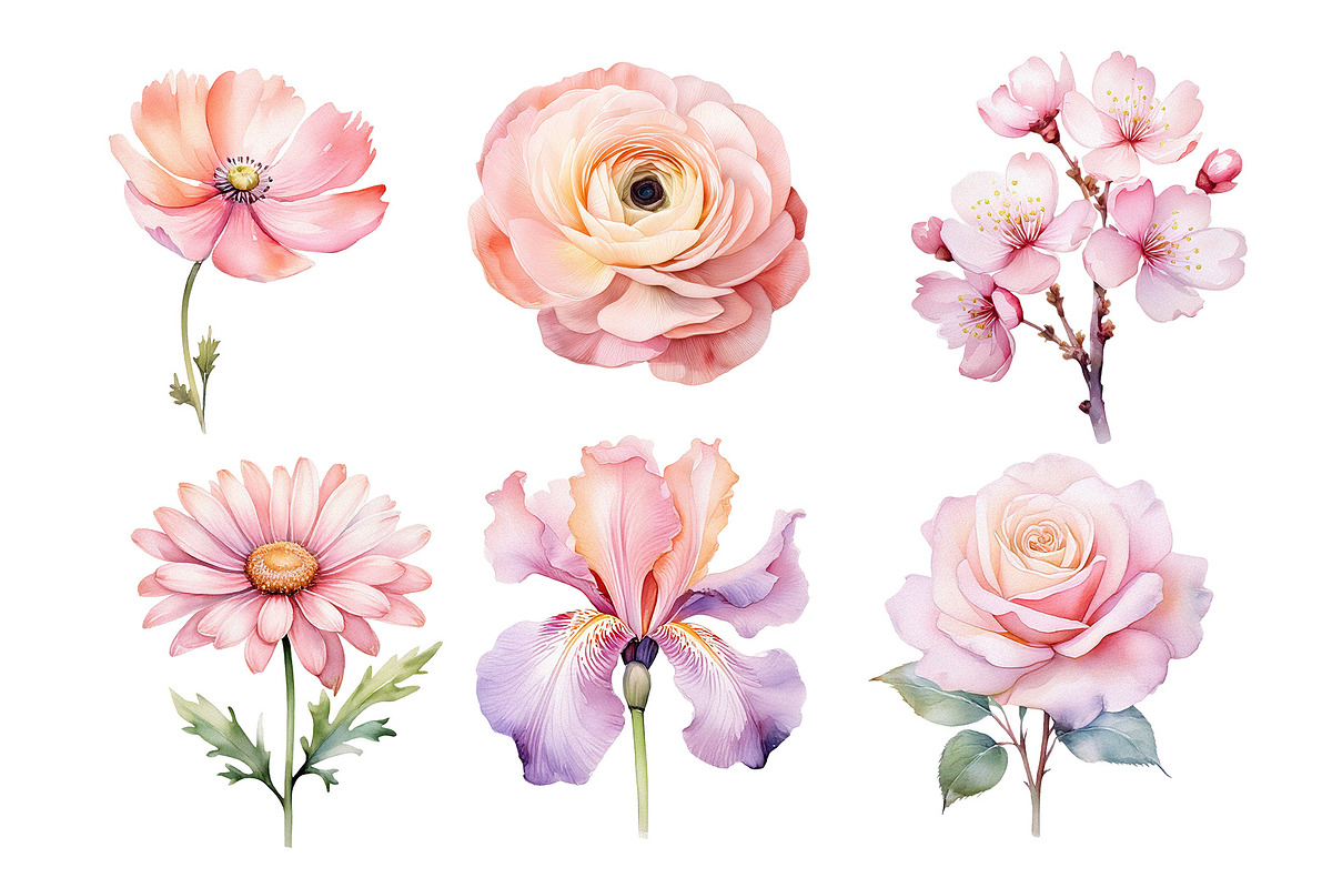 Wedding Watercolor Flowers Clipart., a Decorative Illustration by kaisorn (Photo 2 of 5)