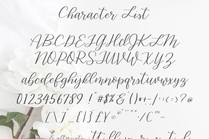 Gracefully-a Handwritten Script Font