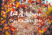 End of Autumn photo pack, a Templates & Theme by ApertureVintage (Thumbnail 8 of 14)