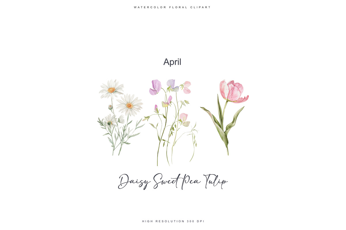 watercolor birth flowers collection, a Decorative Illustration by Patishop Art (Photo 4 of 9)