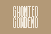 Reatfeh - Modern Condensed Typeface, a Font by Letterna (Thumbnail 2 of 4)