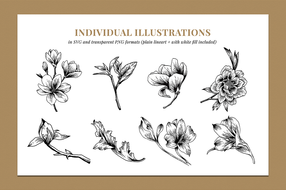 Botanical Illustration Bundle, an Illustration by Rough Edges Supply Co. (Photo 6 of 17)